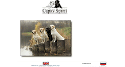 Desktop Screenshot of capasspiritlabradors.ru