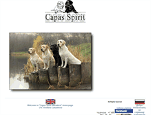 Tablet Screenshot of capasspiritlabradors.ru